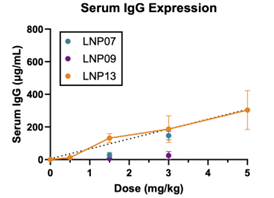 Serum IgG Exp after LNP