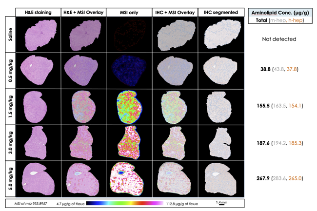 Mass Spectrometry Liver Post-LNP